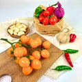 IMPODIO Fake Tomato Vegetables – Tomat Renceng 16 Pcs Dekorasi Props