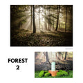 IMPODIO Background Paper Motif Hutan Pepohonan Forest Ukuran 50 x - lifestyle