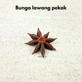 IMPODIO Bunga & Biji Kering Dekoratif Rustic Satuan - lifestyle