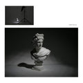 IMPODIO Bowens Mount Conical Snoot Honeycomb for Speedlight Fotografi - close up