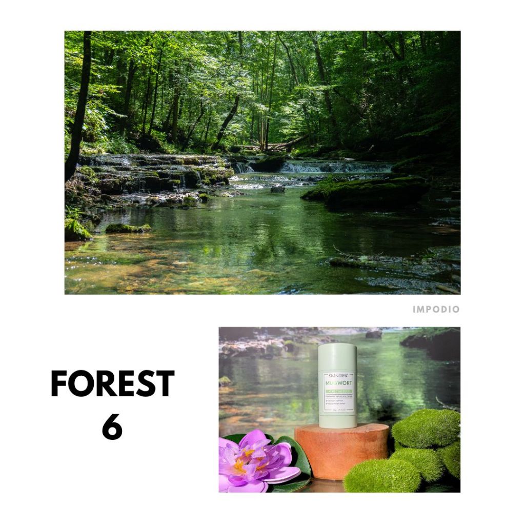 IMPODIO Background Paper Motif Hutan Pepohonan Forest Ukuran 50 x 70 cm - Latar Belakang Aesthetic Alas Fotografi Backdrop Produk