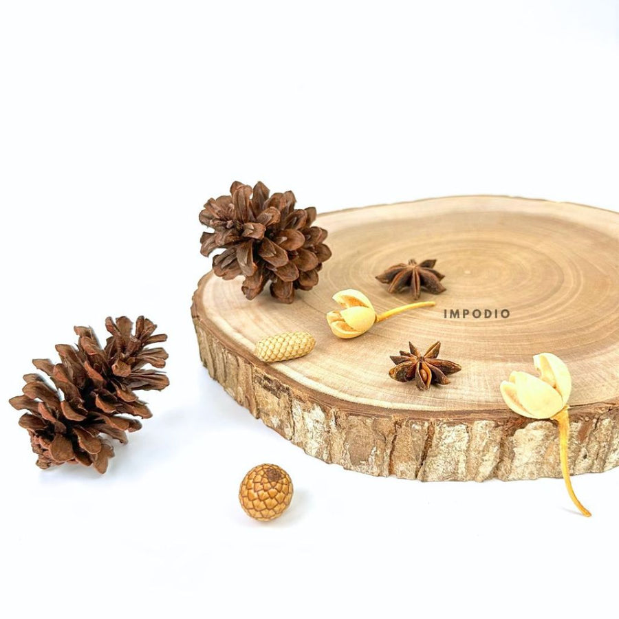 IMPODIO Bunga & Biji Kering Dekoratif Rustic Satuan