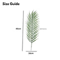 IMPODIO Palm Branch Leaf – properti foto produk konten - detail produk