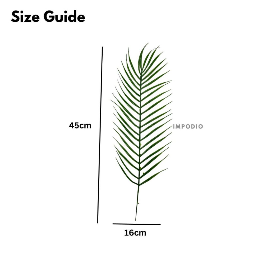 IMPODIO Palm Branch Leaf – properti foto produk konten - detail produk