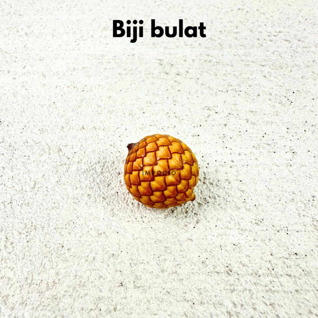 IMPODIO Bunga & Biji Kering Dekoratif Rustic Satuan - foto 9