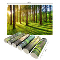 IMPODIO Background Paper Motif Hutan Pepohonan Forest Ukuran 50 x