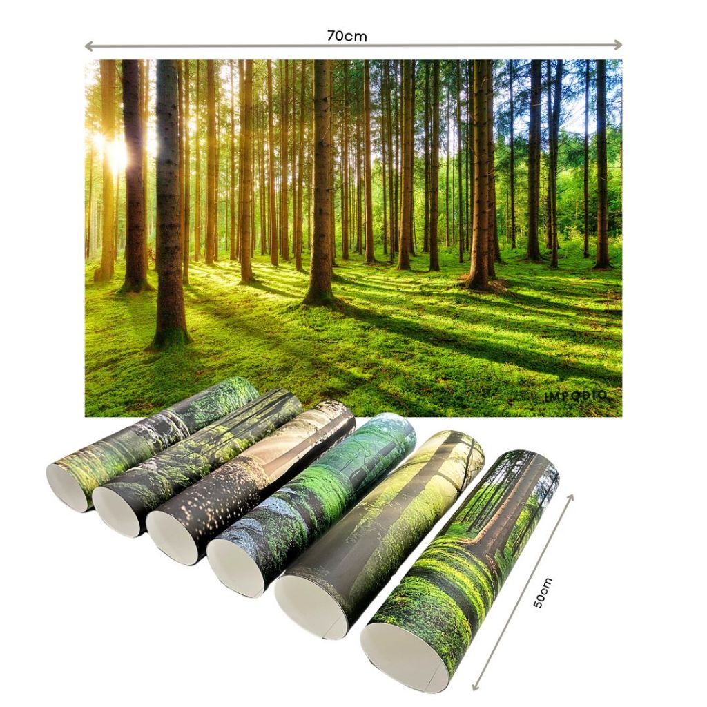 IMPODIO Background Paper Motif Hutan Pepohonan Forest Ukuran 50 x 70 cm - Latar Belakang Aesthetic Alas Fotografi Backdrop Produk