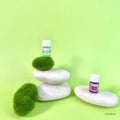 IMPODIO Set 4Pcs Batu Alam Natural Pebble Risers – Styling Props