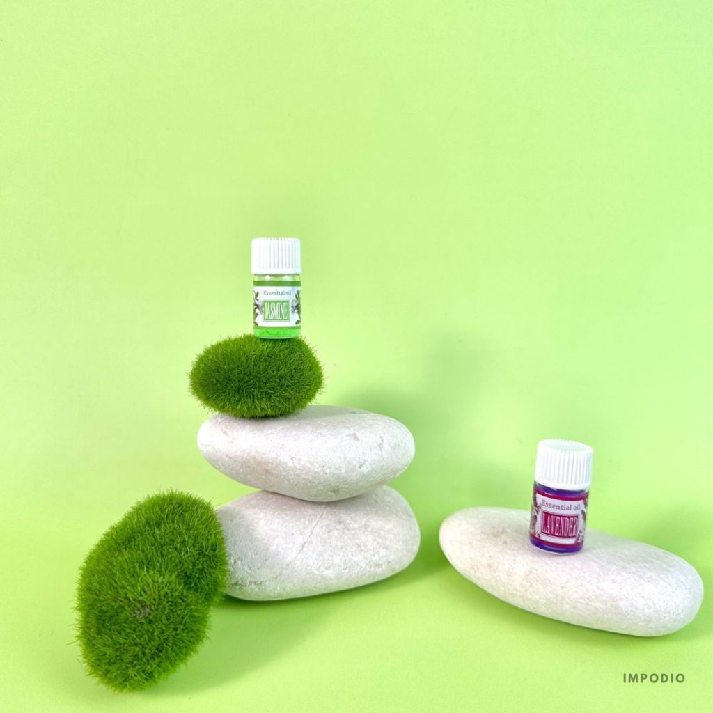 IMPODIO Set 4Pcs Batu Alam Natural Pebble Risers - Styling Props Photography ( Random size )