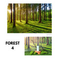 IMPODIO Background Paper Motif Hutan Pepohonan Forest Ukuran 50 x - foto 9