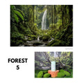IMPODIO Background Paper Motif Hutan Pepohonan Forest Ukuran 50 x - foto 10