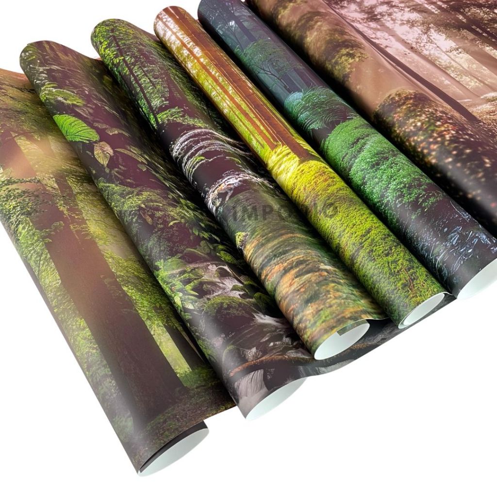 IMPODIO Background Paper Motif Hutan Pepohonan Forest Ukuran 50 x 70 cm - Latar Belakang Aesthetic Alas Fotografi Backdrop Produk