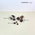 IMPODIO Christmas Styling Props – Perlengkapan Foto Produk Tema Natal, Dekorasi Xmas & Flatlay Photography