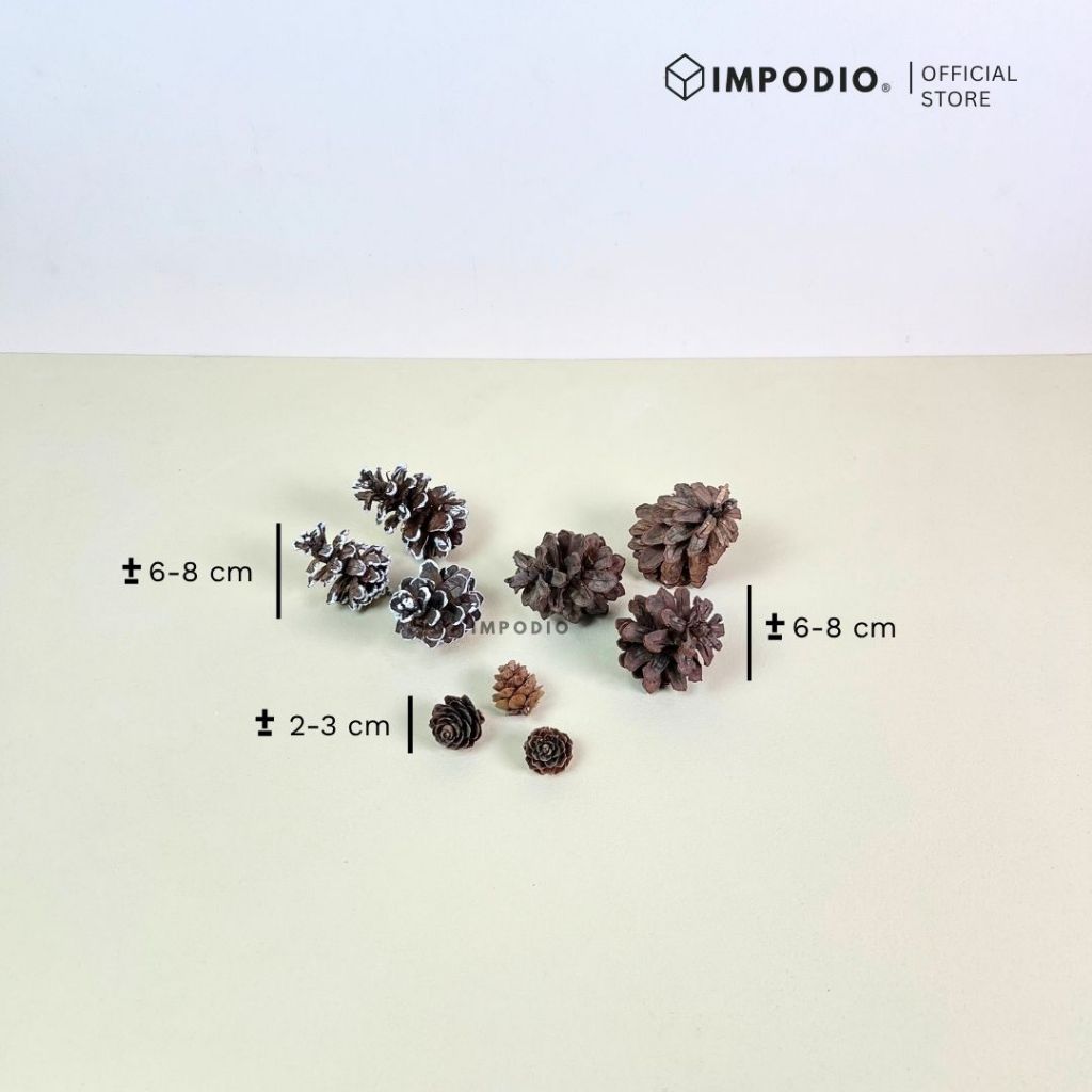 IMPODIO Christmas Styling Props – Perlengkapan Foto Produk Tema Natal, Dekorasi Xmas & Flatlay Photography