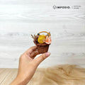 IMPODIO mini preserved flower basket – mini bouquet keranjang dekorasi aesthetic untuk foto produk & gift