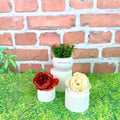 IMPODIO Set 3pcs Display Stand Mini Fluted – Props Foto, Tatakan - dalam penggunaan