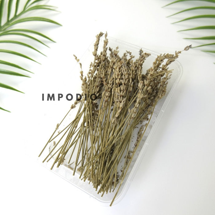IMPODIO Paket 1 box dried flower and dried leaf - Props photo rustic