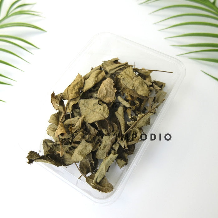 IMPODIO Paket 1 box dried flower and dried leaf - Props photo rustic