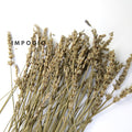 IMPODIO Paket 1 box dried flower and dried leaf - Props photo rustic - dalam penggunaan
