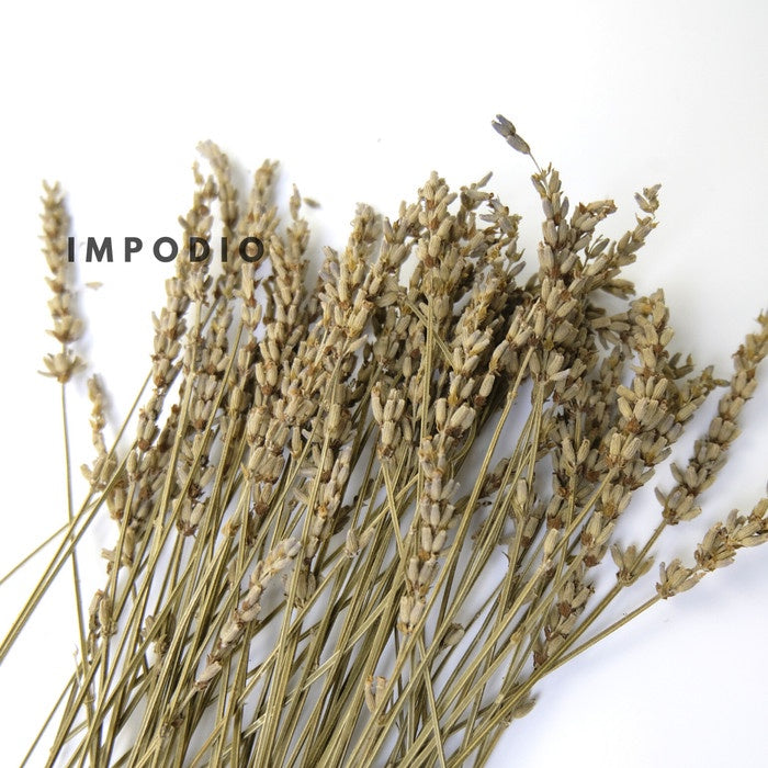 IMPODIO Paket 1 box dried flower and dried leaf - Props photo rustic