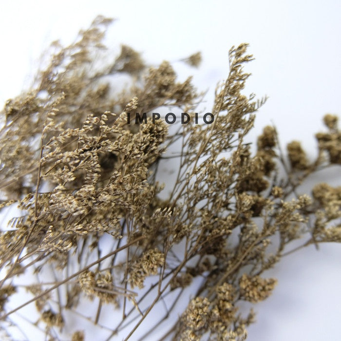 IMPODIO Paket 1 box dried flower and dried leaf - Props photo rustic