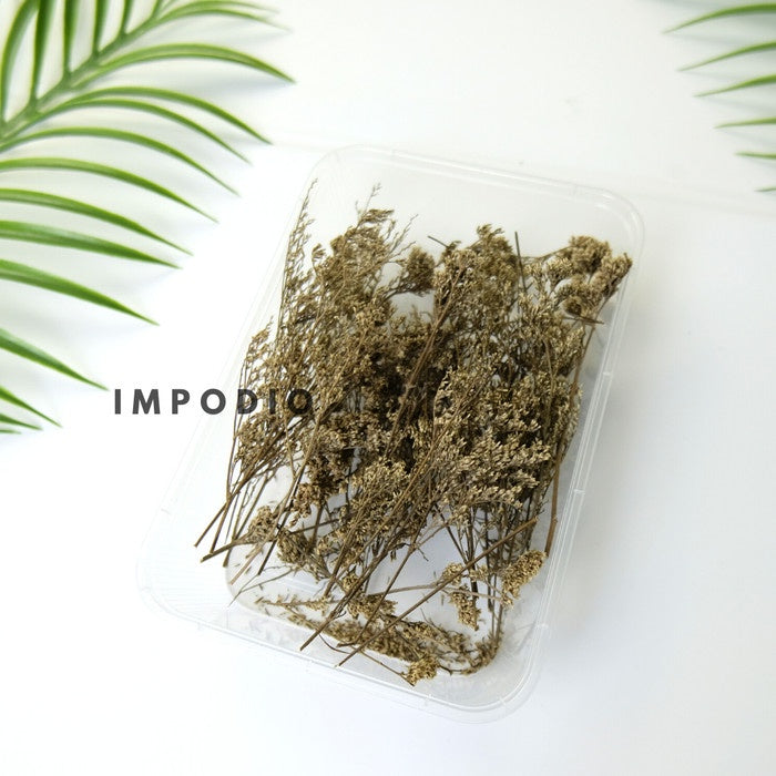 IMPODIO Paket 1 box dried flower and dried leaf - Props photo rustic
