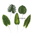 IMPODIO Tropical Artifical – Properti foto konten