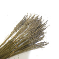 IMPODIO Bunga Lavender kering – dried lavender flower props foto - tampak samping