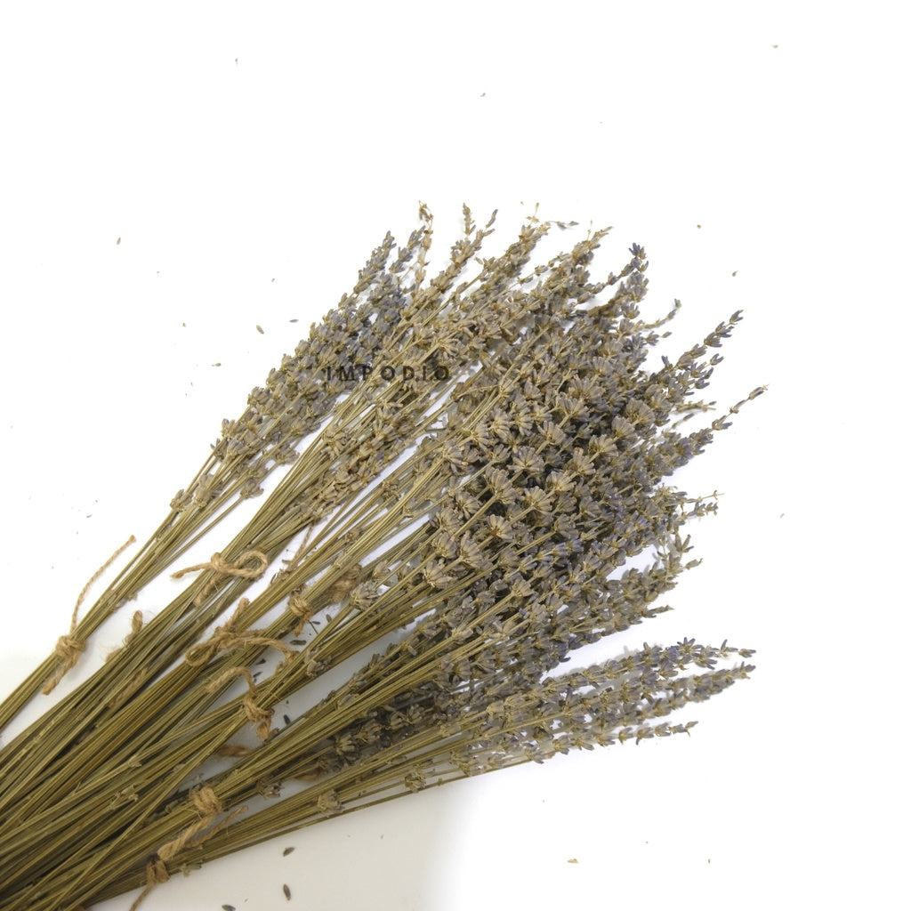 IMPODIO Bunga Lavender kering / dried lavender flower props foto