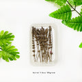 IMPODIO Paket 1 box dried flower and dried leaf - Props photo rustic - tampak samping