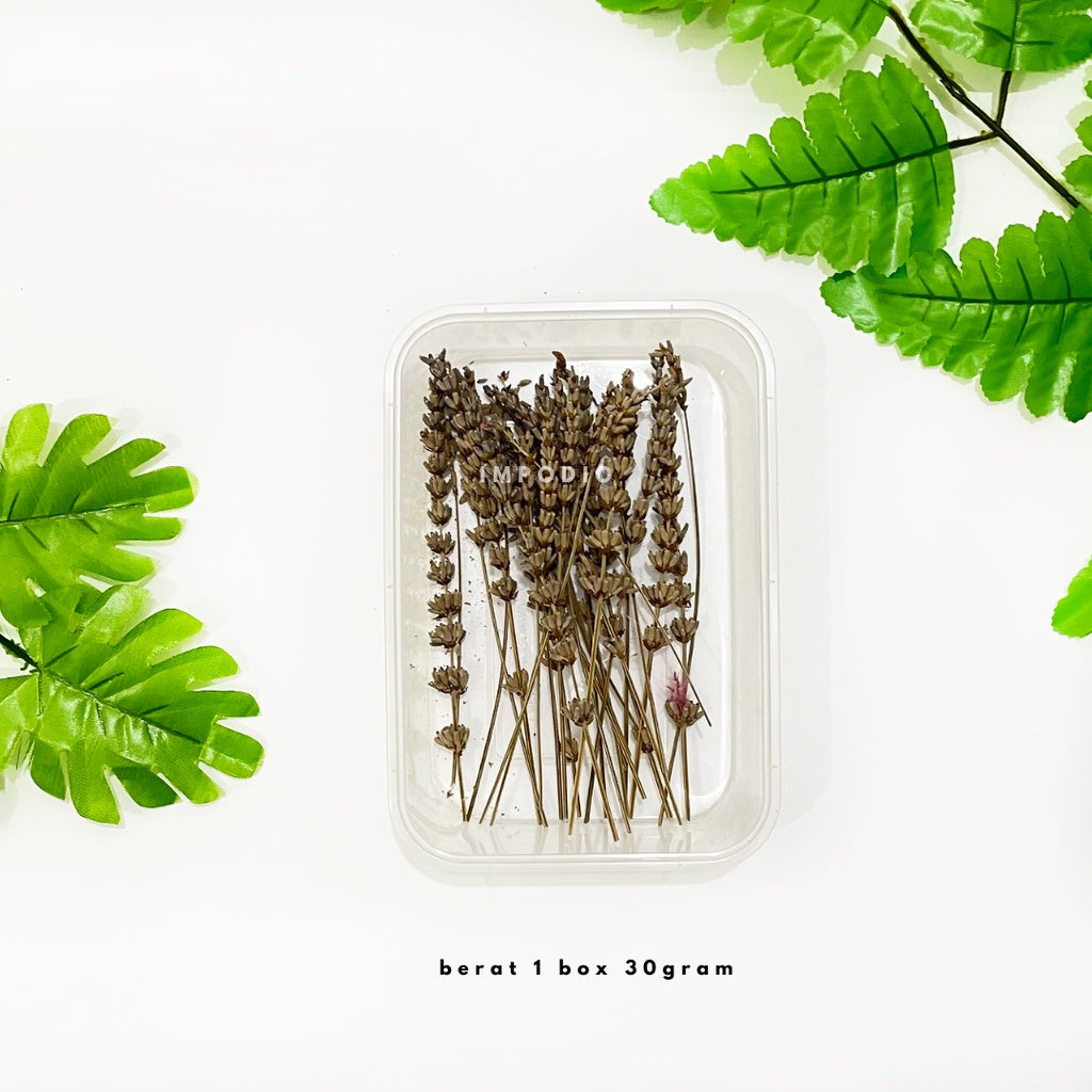 IMPODIO Paket 1 box dried flower and dried leaf - Props photo rustic