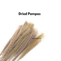 IMPODIO Dried Pampas – bunga kering – foto produk konten