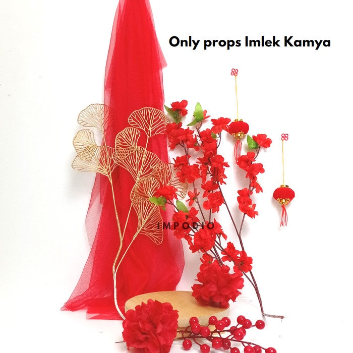 IMPODIO KAMYA Paket imlek Edition - Props foto