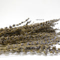 IMPODIO Bunga Lavender kering – dried lavender flower props foto - detail produk