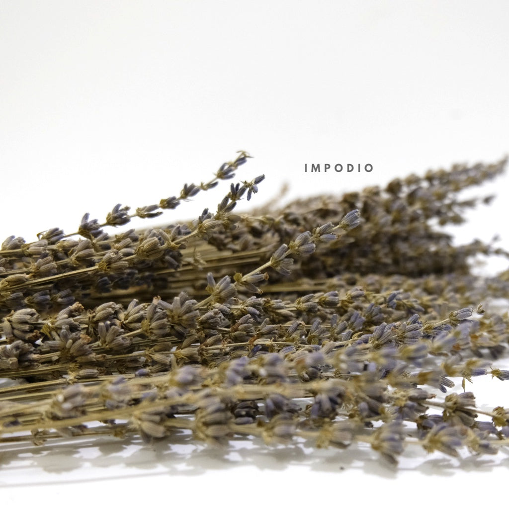 IMPODIO Bunga Lavender kering / dried lavender flower props foto