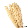 IMPODIO Bunga Cannel kering Dried flower photo props Cennel – Channel