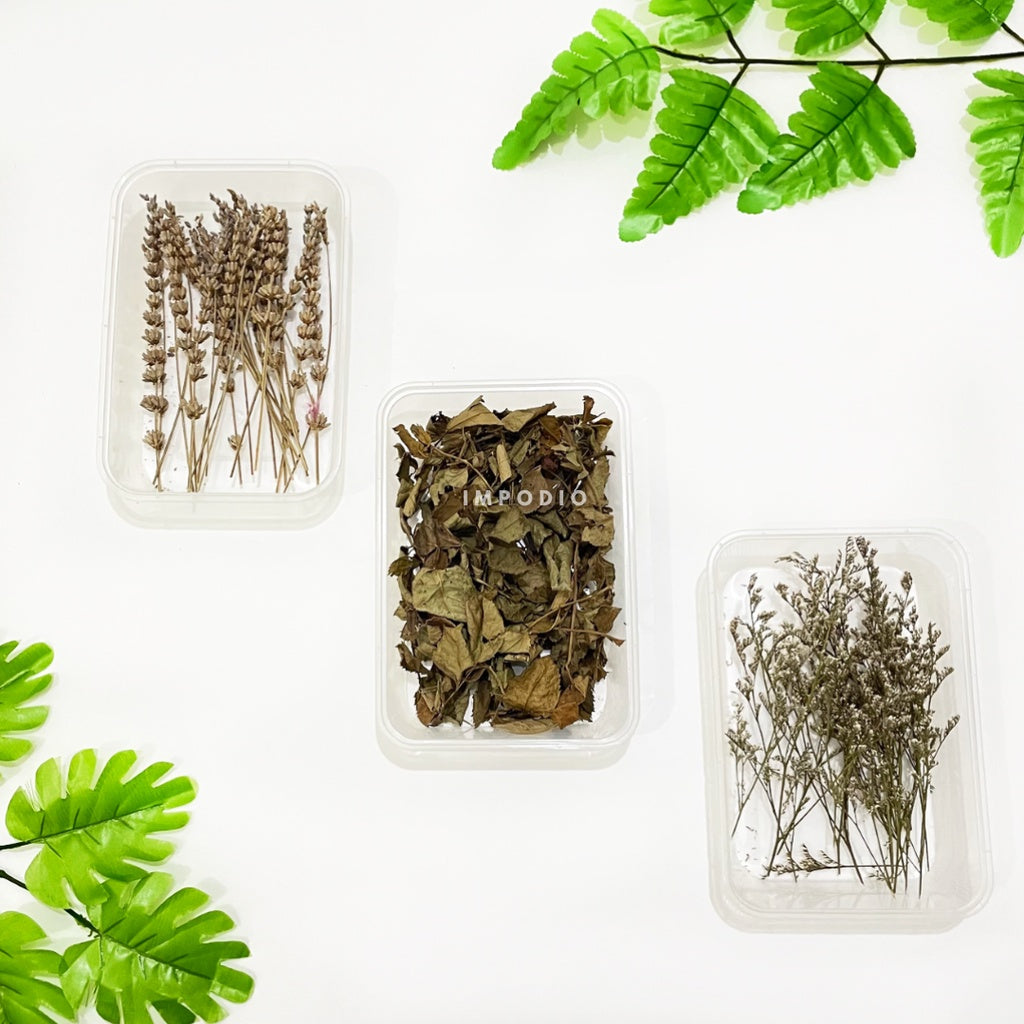 IMPODIO Paket 1 box dried flower and dried leaf - Props photo rustic