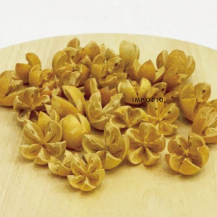 IMPODIO Bunga kering props foto / bunga dekorasi mahar biji