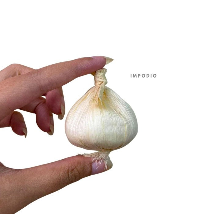 IMPODIO Bawang merah dan putih Palsu / Fake Garlic / - Props Foto