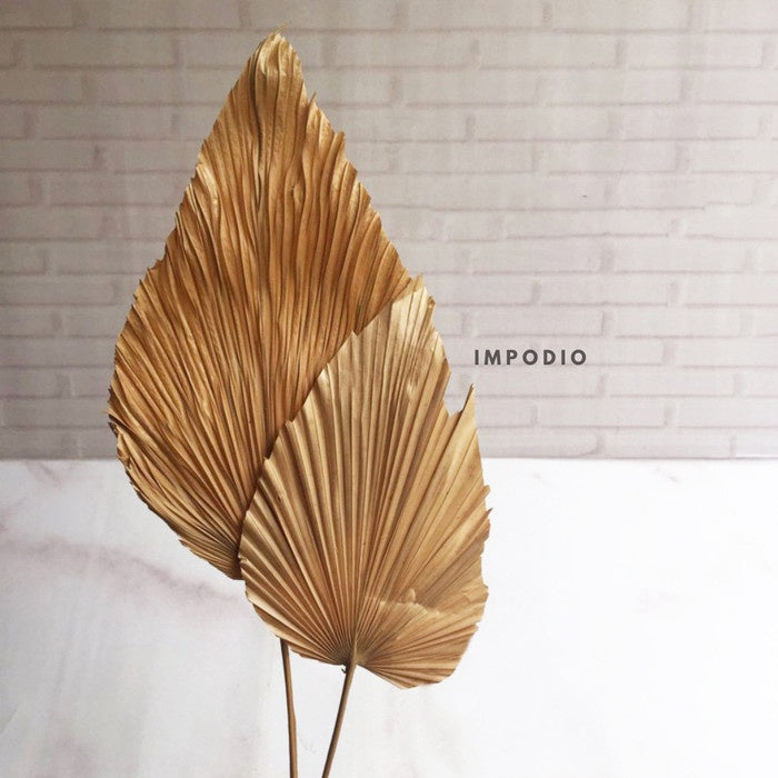 IMPODIO gold palm leaf / dried flowers gold mosntera props