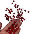 IMPODIO props foto biji merah 1 pak isi 50gram - properti photo - tampak samping