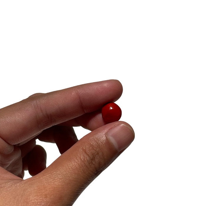 IMPODIO props foto biji merah 1 pak isi 50gram - properti photo