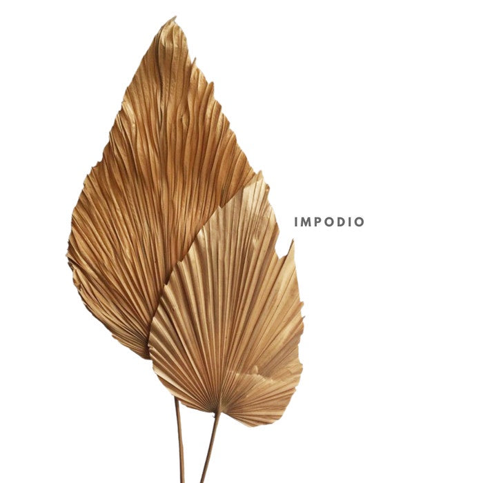 IMPODIO gold palm leaf / dried flowers gold mosntera props