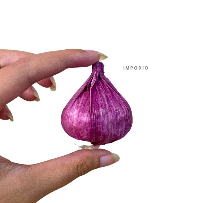 IMPODIO Bawang merah dan putih Palsu / Fake Garlic / - Props Foto