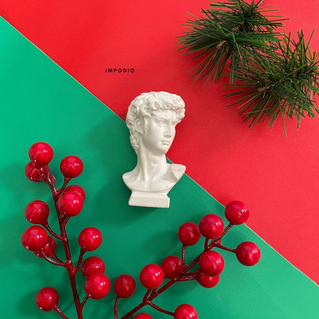 IMPODIO Hiasan tema natal crerry and pine branch - props foto