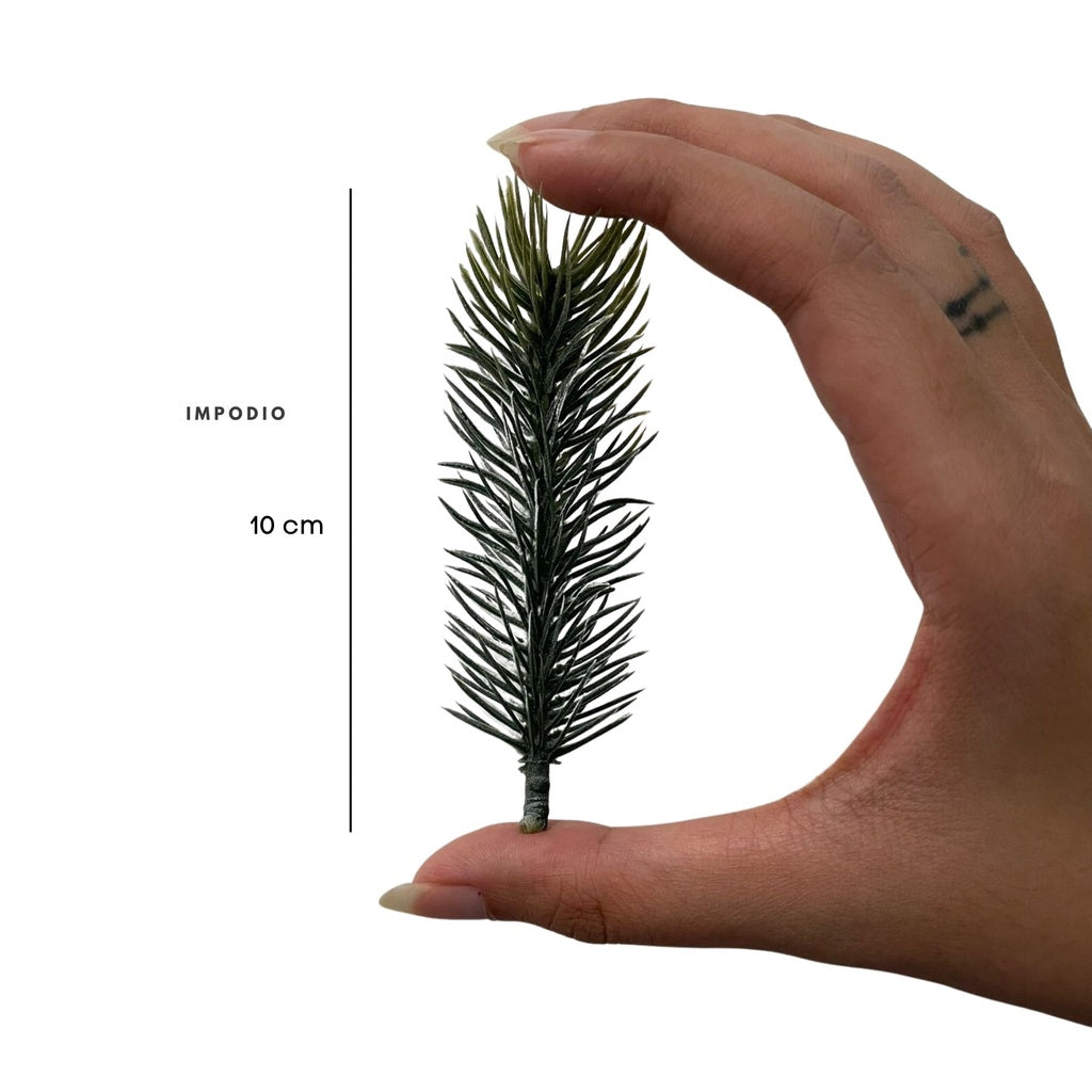 IMPODIO Hiasan tema natal crerry and pine branch - props foto