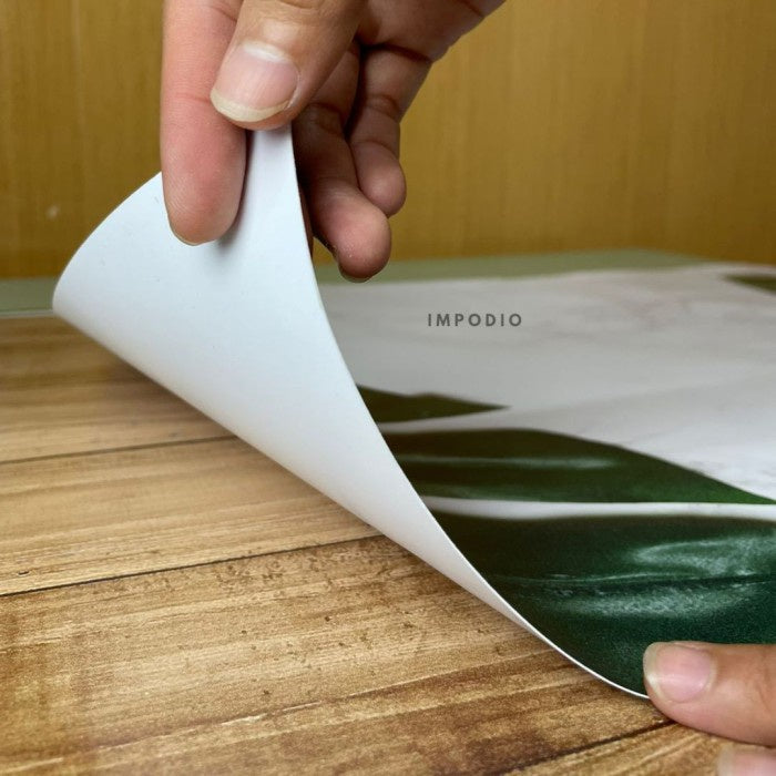 IMPODIO Background foto lembaran Uk 44x70 cm - Alas foto produk