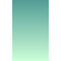 IMPODIO Paper Background Gradient 50x100cm - alas foto gulung - background putih