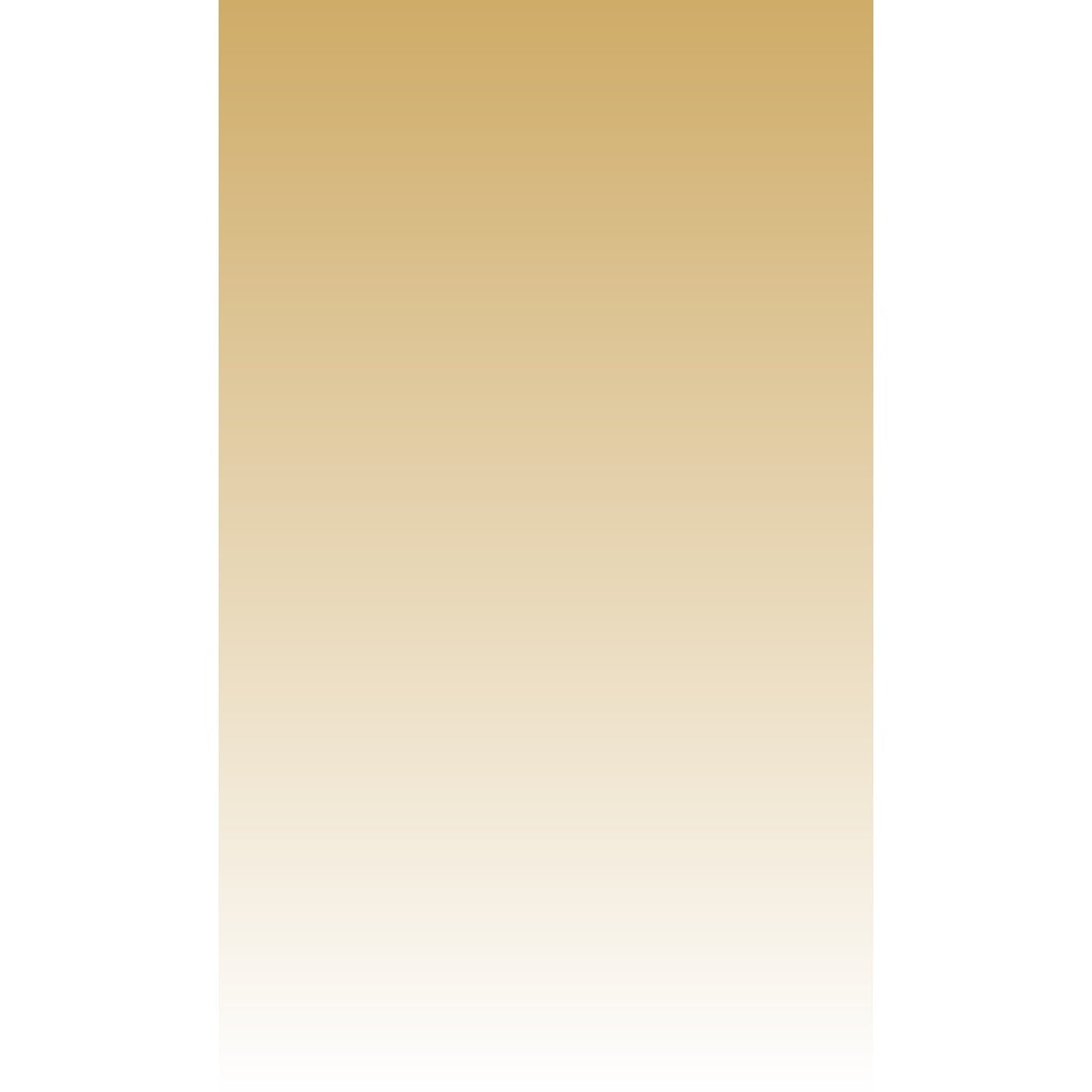 IMPODIO Paper Background Gradient 50x100cm - alas foto gulung