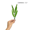 IMPODIO Tanaman Daun Air Artificial Hijau – Daun Plastik Hiasan Vas - detail produk